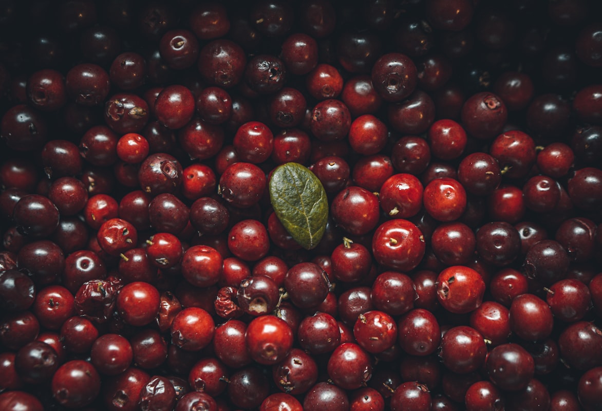 Baies de cranberry